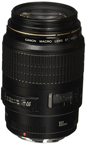 Canon EF 100 mm f/2.8 Macro-Objektiv USM