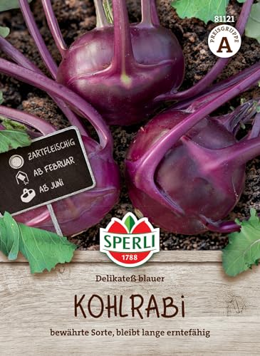 81121 Sperli Premium Kohlrabi Samen Delikateß Blauer | Aromatisch Zart | Langes Erntefenster | Kohlrabi Saatgut